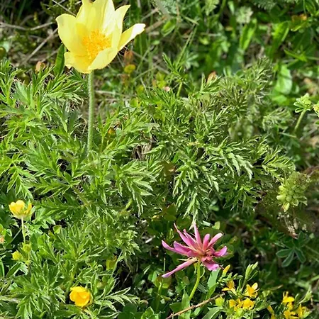 Daire Moderne Avec Balcon, Proche Pistes, Wifi - Fr-1-787-102 *