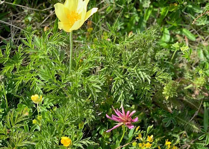 Apartment Moderne Avec Balcon, Proche Pistes, Wifi - Fr-1-787-102 *